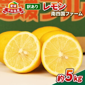 yӂ邳Ɣ[Łz 󂠂  5kg lt@[ s\ 킯  EG remon  ʏ` _ u₩ ʎ T[ W[X `[nC ʕ  r^~ t[c k 