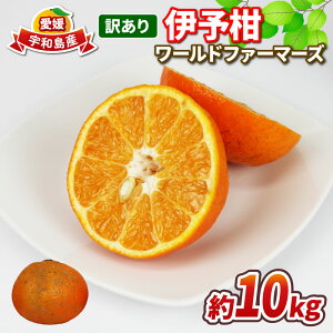 yӂ邳Ɣ[Łz Q݂ 󂠂 ɗ\ 10kg [ht@[}[Y 킯 悩 Q~J Q 󂠂݂ 󂠂薨 A 󂠂i L 킯 mikan ʕ 