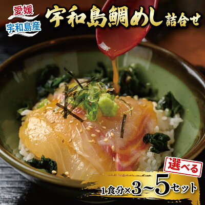 愛媛県産 宇和島鯛めしセット