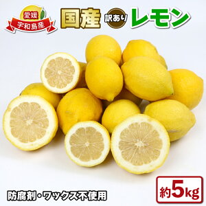 yӂ邳Ɣ[Łz 󂠂  5kg ΂_ s\ h E bNX sgp Y s\   remon EG ʏ` A 󂠂i 킯 Y _ ʕ r