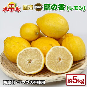 yӂ邳Ɣ[Łz Y 󂠂 ̍ 5kg ΂_ h E bNX sgp Y YEG s\  EG remon ʏ` _  ʕ r^~ N ς t[c