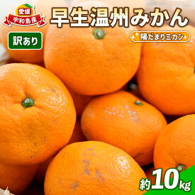 ふるさと納税 みかん 還元率