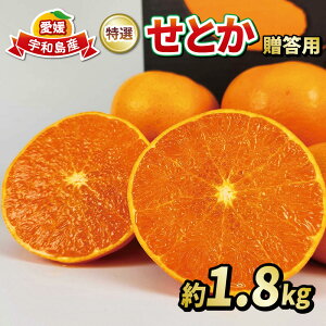yӂ邳Ɣ[Łz k ~J Ƃ 1.8kg k g p I tbV s\ k Gi i Mtg v[g  uh  Â ʕ t[c k 