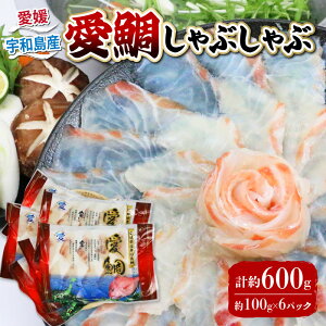 yӂ邳Ɣ[Łz ^ Q F u  uh v  Ԃ 600g tbV  }_C ^C tai ₵  {B hg hg Ђ AW y 