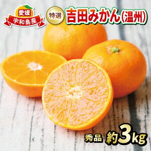 【ふるさと納税】 贈答 蜜柑 贈答用 秀品 3kg フレッシュつちやま 先行予約 特選 温州 みかん 温州みかん 贈答用みかん 早生 南柑20号 贈答品 高級 果物 くだもの フルーツ 柑橘 愛媛みかん お