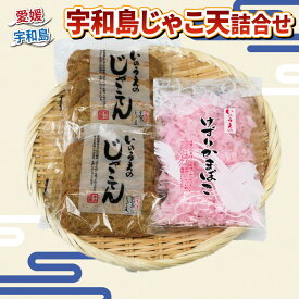 【ふるさと納税】 ＼10営業日以内発送／ 手押し じゃこ天 10枚 けずり蒲鉾 1袋 詰合せ 井上蒲鉾本舗 手押しじゃこ天 手作り 蒲鉾 けずりかまぼこ かまぼこ 冷蔵 小魚 すり身 練り物 さつま揚げ 惣菜 小分け 酒 水産 加工品 特産品 郷土料理 国産 愛媛 宇和島 C010-003001