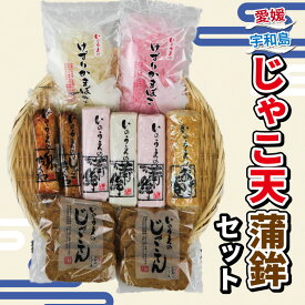 【ふるさと納税】 ＼10営業日以内発送／ じゃこ天 蒲鉾 詰め合わせ セット 井上蒲鉾本舗 手押しじゃこ天 10枚 かまぼこ 3本 揚巻 1本 竹輪 2本 けずり蒲鉾 2袋 ちくわ 揚げかまぼこ 冷蔵 小魚 すり身 練り物 惣菜 加工品 特産品 郷土料理 国産 愛媛 宇和島 C024-003002