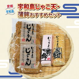 【ふるさと納税】 ＼10営業日以内発送／ 手押し じゃこ天 蒲鉾 おすすめ セット 井上蒲鉾本舗 手押しじゃこ天 蒲鉾 揚げかまぼこ 揚巻 削り蒲鉾 小魚 すり身 練り物 惣菜 フライ 具 小分け 酒 水産 加工品 特産品 郷土料理 国産 愛媛 宇和島 C015-003003