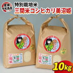  特別栽培米 コシヒカリ 美沼姫 計10kg 三間町特別栽培米生産組合 玄米 対応可 ごはん お弁当 おにぎり ブランド米 ふっくら ツヤツヤ 甘い 粘り 米 三間米 国産 愛媛 宇和島 G018-032001