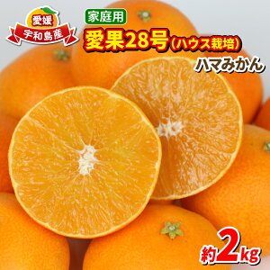 yӂ邳Ɣ[Łz  ݂ 28 2kg ƒp nEX͔| s\ n}݂ ~J ʕ  t[c k  uh [[ vv Â  i  mikan Q