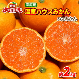 【ふるさと納税】 ハウスみかん 温室みかん 2kg 家庭用 ハマみかん 先行予約 温州みかん 温室蜜柑 ハウス栽培 興津 早生 ハウス みかん 果物 フルーツ 柑橘 蜜柑 愛媛ミカン 愛媛みかん 愛媛蜜柑 農家直送 産地直送 数量限定 国産 愛媛 宇和島 B015-075004