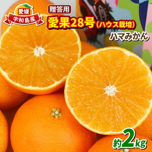 yӂ邳Ɣ[Łz 28 p 2kg nEX͔| s\ n}݂ ʕ  t[c k ݂  uh [[ vv Â  i  mikan Q Q݂ _