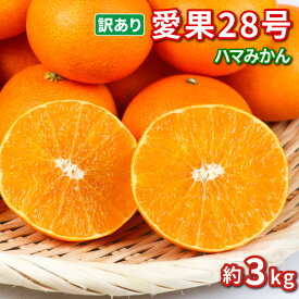 【ふるさと納税】 訳あり 愛果28号 ( 紅まどんな と同品種) ハウス栽培 約3kg ハマみかん 先行予約 ブランド ゼリー 甘い 果物 フルーツ 柑橘 みかん サイズ不揃い ハウス 愛媛ミカン 愛媛みかん 蜜柑 お取り寄せ 産地直送 産直 限定 国産 愛媛 宇和島 B010-075009