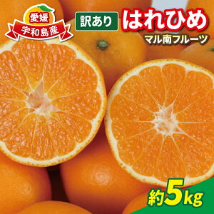 yӂ邳Ɣ[Łz k 󂠂݂ ͂Ђ 5kg s\ }t[c ˂̐P P TCY s   i 킯 Q݂ Q~J Q mikan ʕ 