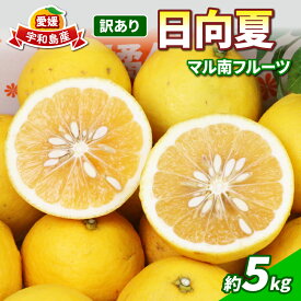 【ふるさと納税】 訳あり 日向夏 みかん 5kg マル南フルーツ 先行予約 不揃い サイズ混合 わけあり 果物 くだもの フルーツ 柑橘 みかん 訳アリ 訳あり品 訳有り わけあり 愛媛みかん 愛媛ミカン 愛媛県産 愛媛蜜柑 蜜柑 数量限定 産地直送 国産 愛媛 宇和島 B010-106013