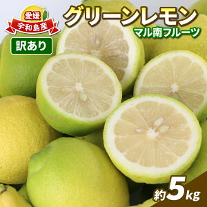 yӂ邳Ɣ[Łz Y EG  󂠂 O[ 5kg }t[c remon QY s\ 킯  EG ʏ` _   S ʕ  r