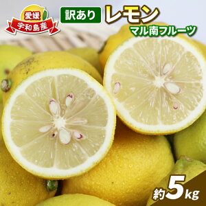 yӂ邳Ɣ[Łz 󂠂 EG 5kg }t[c s\ s 킯   ʏ` _  ʕ  r^~ N _CGbg t[c k ݂ A 