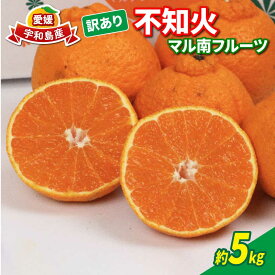 【ふるさと納税】 訳あり 不知火 ( デコポン と同品種) 5kg マル南フルーツ 先行予約 果物 くだもの わけあり 訳あり品 フルーツ 柑橘 蜜柑 みかん mikan ミカン グルメ お取り寄せ デザート ビタミン 愛媛みかん 愛媛ミカン 愛媛蜜柑 数量限定 愛媛 宇和島 B010-106022