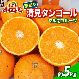 【ふるさと納税】 訳あり ミカン 清見タンゴール 5kg マル南フルーツ 先行予約 わけあり タンゴール オレンジ きよみ 清見オレンジ 清見みかん 清見 愛媛ミカン 愛媛蜜柑 蜜柑 みかん mikan 訳アリ 果物 くだもの フルーツ 柑橘 数量限定 国産 愛媛 宇和島 B010-106024