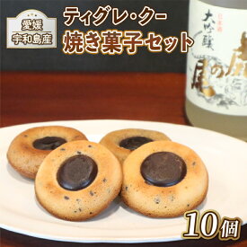 【ふるさと納税】 お菓子 日本酒 チョコ 焼き菓子 10個 ティグレ・クー Patisserie Libra 地酒 虎の尾 使用 チョコレート 洋菓子 お菓子 菓子 おやつ スイーツ 贈り物 ホワイトデー ギフト プレゼント 数量限定 国産 愛媛 宇和島 J010-109001