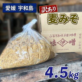 【ふるさと納税】 【マツコの知らない世界で紹介！】 訳あり 味噌 麦みそ 約4.5kg 井伊商店 全麦麹味噌 天然醸造 非加熱 生味噌 麦みそ みそ 麦味噌 miso お味噌 発酵 発酵食品 発酵調味料 調味料 麦 こうじ 味噌汁 みそ汁 お味噌汁 豚汁 汁 味噌 愛媛 宇和島 J010-108002