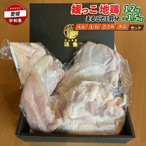 yӂ邳Ɣ[Łz Yn{ n{ Qn{ 1H 1.2`1.5kg R {  tori  { { Ƃ n{   niku ɂ Ƃɂ  {  l g H Hה 