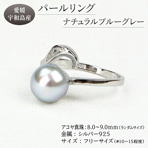 yӂ邳Ɣ[Łz _10cƓȓ^ {^ p[ AR ^ O i` u[O[ F t[TCY 8.0-9.0mm FaC^ ^ ANZT[ WG[ w tH