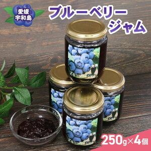yӂ邳Ɣ[Łz u[x[ W Ɛ 250g ×4 v1kg ݊J u[x[W berry  r ʕ  t[c fU[g |tFm[ p [Og ACX َq 