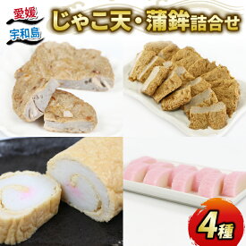 【ふるさと納税】 ＼10営業日以内発送／ 宇和島 じゃこ天 蒲鉾 4種 詰合せ 化粧箱入り 手押してんぷら 10枚 野菜てんぷら 5枚 揚巻 1本 紅かまぼこ 1本 野中かまぼこ店 贈り物 紅蒲鉾 かまぼこ 練り物 惣菜 小分け 郷土料理 酒 おつまみ 肴 特産品 国産 愛媛 C020-014004