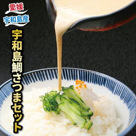 【ふるさと納税】 宇和島 鯛 さつま セット 140g×4 ファインフードシステム さつま 鯛 たい 味噌 丼 ごはん 麦味噌 みそ 冷凍 簡単調理 郷土料理 国産 愛媛 宇和島 D012-091001