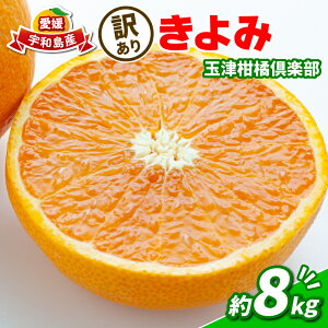 yӂ邳Ɣ[Łz A݂ 󂠂   8kg ʒÊky s\ ݂ ^S[ ^S[ IW Â ʕ  t[c k mikan  Q Q
