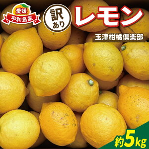 yӂ邳Ɣ[Łz 󂠂  5kg ʒÊky s\ TCY s A  EG remon u₩ ʎ T[ W[X `[nC ʕ  t[c k Q Q