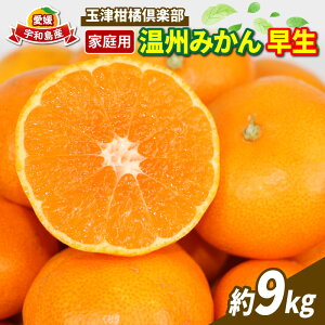 yӂ邳Ɣ[Łz ݂ B~J ݂ B݂ B 9kg ƒp ʒÊky  񂵂イ Q݂ Q Q~J ʒ mikan \t ʕ t[c k Z