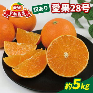 yӂ邳Ɣ[Łz 󂠂 28 5kg ƒp ʒÊky Q݂ Q Q~J  uh  i vv Â ʒ ݂ mikan \t ʕ t[c k  Z