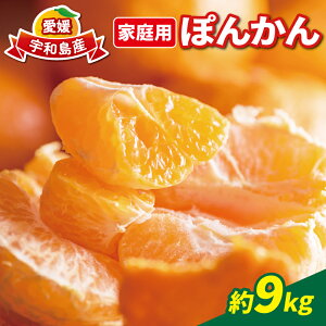 yӂ邳Ɣ[Łz k ۂ񂩂 ƒp 9kg ʒÊky |J Q݂ Q Q~J ʒ  ݂ ~J mikan \t ʕ  t[c ӂ[ k Z 