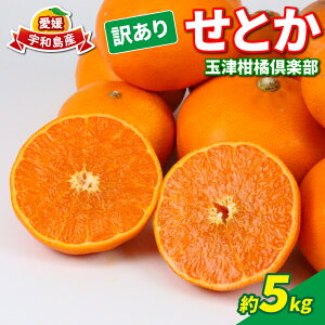 yӂ邳Ɣ[Łz Ƃ A 5kg ʒÊky 󂠂 k  g Q݂ Q Q~J n   i  uh ݂ mikan \t ʕ t[c k 