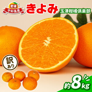yӂ邳Ɣ[Łz A݂ 󂠂   8kg ʒÊky s\ ݂ ^S[ ^S[ IW Â ʕ  t[c k mikan  Q Q