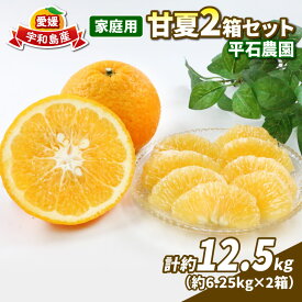 【ふるさと納税】 柑橘 甘夏 6.25kg 2箱 計12.5kg 【家庭用】 平石農園 みかん mikan 愛媛ミカン 愛媛蜜柑 甘夏みかん 果物 くだもの フルーツ おやつ 朝食 子ども ビタミン 美容 蜜柑 産直 お取り寄せ 農家直送 産地直送 送料無料 数量限定 国産 愛媛 宇和島 B010-017004