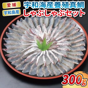 yӂ邳Ɣ[Łz _10cƓȓ^ ₵ FaCY ^ Ԃ Zbg GrX ^₵Ԃ p 300g || 80ml  }_C ^C Ⓚ {B C̍K    L H