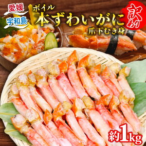 yӂ邳Ɣ[Łz _10cƓȓ^ I Jj 󂠂 {C {킢 ܉ނg  1kg j[o[N {YCKj kani {킢 Ⓚ Jj I 킢 킢I I {CI 
