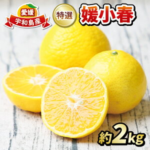 yӂ邳Ɣ[Łz 󏭕i Qt 2kg Q ͔|i I tbV s\ k i p Mtg v[g Â   ʕ t[c k ݂  