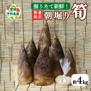 yӂ邳Ɣ[Łz  4kg x ʌ s\ tbV ̂ t  R VN |̎q  @肽 ϕ VՂ AW Yn Y Q QY Fa F015-