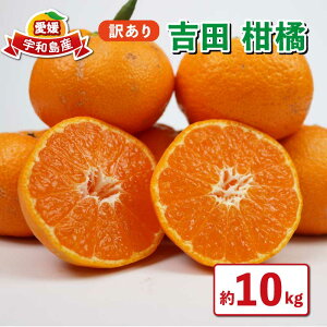 �y�ӂ邳�Ɣ[�Łz �󂠂� �g�c ���k 10kg �{ �G�� �� ���k �t���b�V������� �i�� ���C�� �ʕ� �������� �t���[�c ���k ��A�� ���P�A�� ���Q�݂��� �݂��� mikan ���� �Y�n���� ���ʌ��� ���Y 