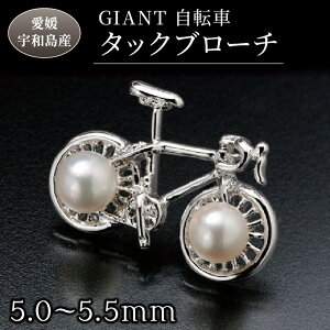 yӂ邳Ɣ[Łz u[` GIANT ] ^bNu[` 5.0-5.5mm ^ ^ p[ ANZT[ AR^ {^ JWA tH[} c  Ǝ w j Mtg 