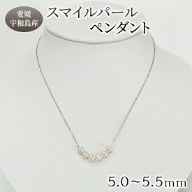 【ふるさと納税】 スマイル パール ペンダント 5.0-5.5mm 真珠会館 母の日 ネックレス 真珠 アクセサリー アコヤ真珠 本真珠 ファッション フォーマル カジュアル 冠婚葬祭 慶事 結婚式 卒業式 入学式 お祝い ギフト 贈り物 人気 特産品 国産 愛媛 宇和島 A105-001004