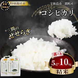 yӂ邳Ɣ[Łz ʍ͔| V OԂ̂炬 OԒY RVqJ Iׂ 5kg 10kg nӔ_  ͂ ٓ ɂ uh ӂ cc Â S  _ƒ Yn