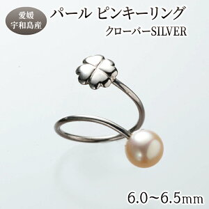 yӂ邳Ɣ[Łz p[ sL[O N[o[ 6.0-6.5mm ōH[ O w ^ ANZT[ AR^ {^ t@bV JWA  c  Ǝ w j