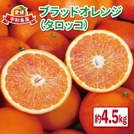 【ふるさと納税】 ブラッドオレンジ タロッコ 4.5kg 愛媛みかん つばさ農園 オレンジ 果物 くだもの フルーツ ブラッド オレンジ 早生 柑橘 みかん 赤 愛媛蜜柑 愛媛ミカン みかん ミカン 蜜柑 mikan 予約 農家直送 産地直送 数量限定 国産 愛媛 宇和島 B010-048003