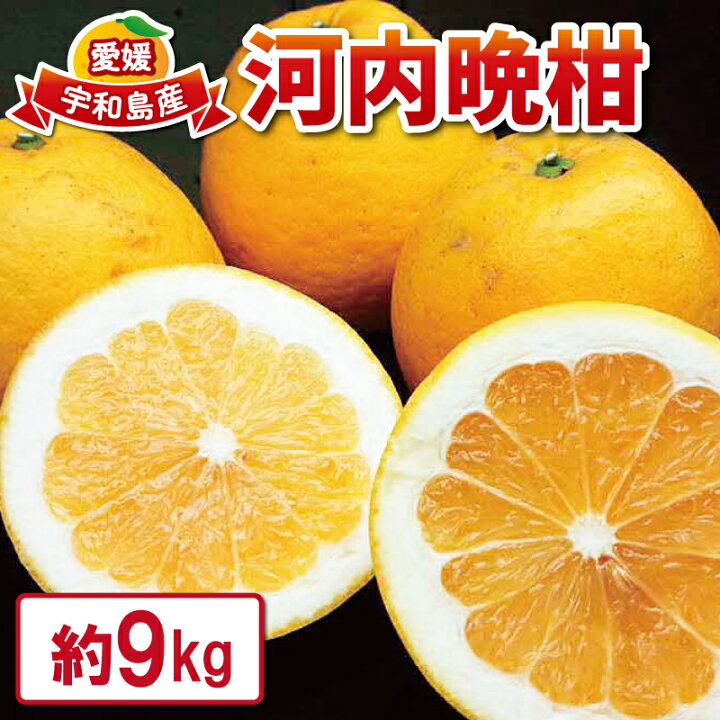 楽天市場】【ふるさと納税】 河内晩柑 9kg 愛媛みかん 先行予約 つばさ 