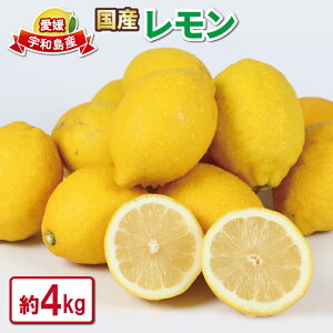 yӂ邳Ɣ[Łz  EG 4kg ΂_ Y s\ h E bNX sgp remon   ʏ`  ʕ r^~ t[c  Y 1~ 10000~ 